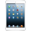 Apple iPad mini 16Gb Wi-Fi + Cellular белый - Чита